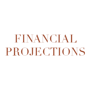 Financial Projections & Forecasting